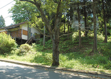 売土地 田方郡函南町畑(南箱根ダイヤランド内)・227.00m²(68.66坪)