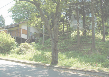 売土地 田方郡函南町畑(南箱根ダイヤランド内)・227.00m²(68.66坪)